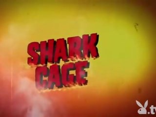 Badass meninas swam com shark em o gaiola