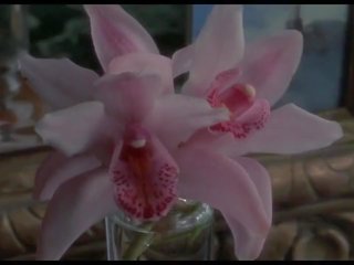 Ýabany orchidee xxx movie scenes 1989, mugt ýyldyz hd xxx movie 0f
