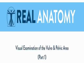 Malaking suso buhok na kulay kape sine ang anatomy ng kanya vulva