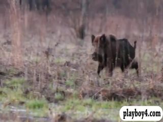 Kumpulan daripada telanjang badass kanak-kanak perempuan boar hunting dan langit diving